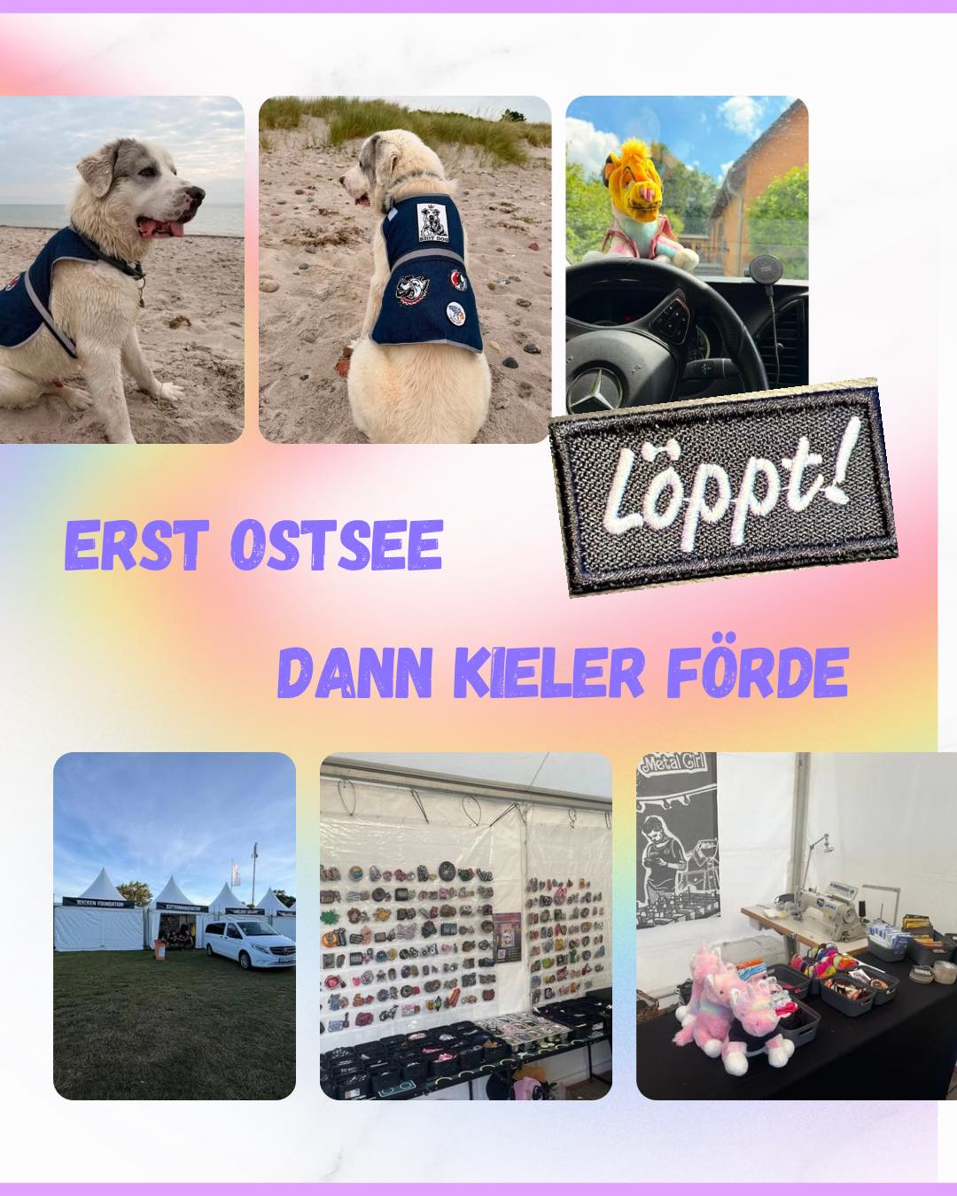 ⚓️🔥 VON DER OSTSEE AN DIE KIELER FÖRDE! 🔥⚓️
Die Kuttenmanufaktur entert die Kieler Woche! 🤘
🩸 Patches ohne Ende
🦺 Kutten & Secondhand-Kutten
🧥 Jacken mit Geschichte
🧢 Caps & Sonnenhüte
☔ Regen-Capes für norddeutsches Festivalwetter
🪡 DIY-Ecke & unser Nähservice für Euch
Patch drauf, Loch
Dazu jede Menge Überraschungen, gute Vibes und alles, was eure Kutte noch lauter macht.
🪡 Handmade jeder Stich mit ❤️🔥
♻️ Secondhand statt Fast Fashion.
🤘 Laut statt langweilig.
Kommt vorbei, stöbert, patcht und werdet Teil des Chaos!
#Kuttenmanufaktur #KielerWoche #PatchYourLife #Kutte #BattleJacket #PunkRock #Metalhead #DIYorDie #radiobob 🤘🖤🔥